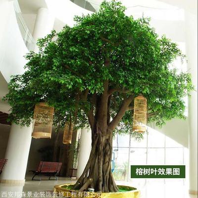 仿真榕樹廠家 批發(fā)制作各種仿真榕樹 免費仿真樹設(shè)計