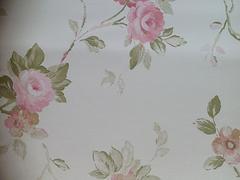 暢銷歐式印花墻紙生產廠家推薦_美蘭壁紙圖片|暢銷歐式印花墻紙生產廠家推薦_美蘭壁紙產品圖片由?？?裝飾工程公司生產提供-